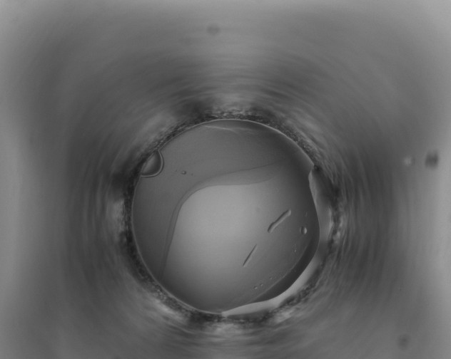 X0000094370224200711091545