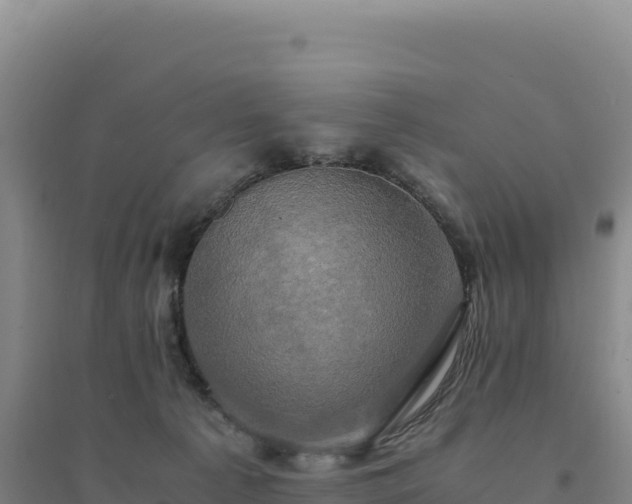 X0000094370225200711091545