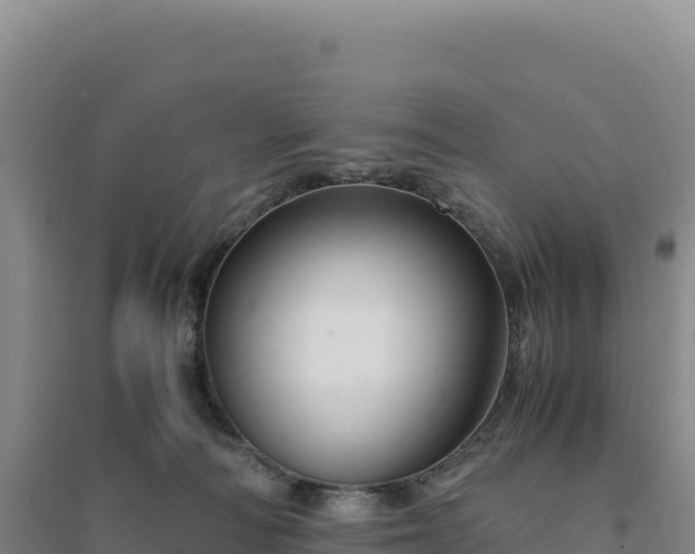 X0000094370226200711091545