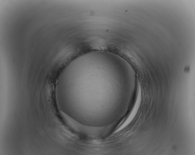X0000094370229200711091545