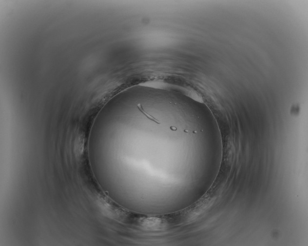 X0000094370230200711091545