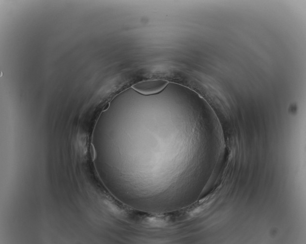 X0000094370232200711091545