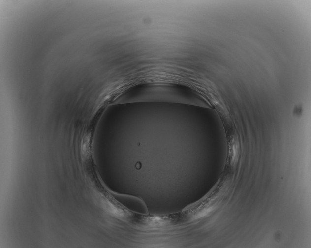 X0000094370239200711091545