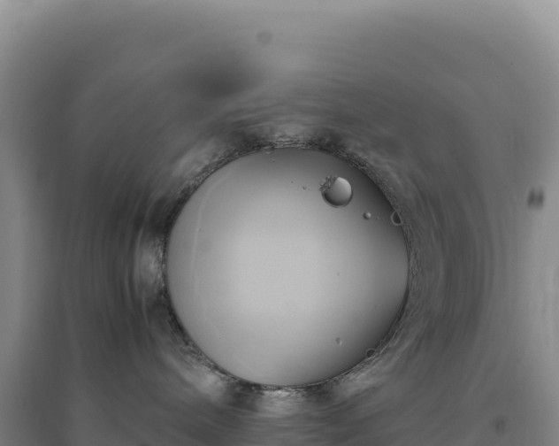 X0000094370240200711091545
