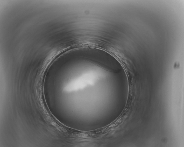 X0000094370241200711091544