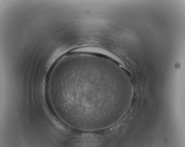 X0000094370242200711091544