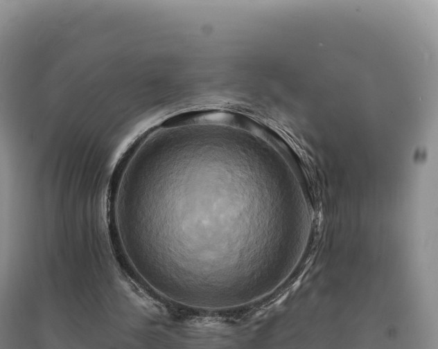 X0000094370244200711091544