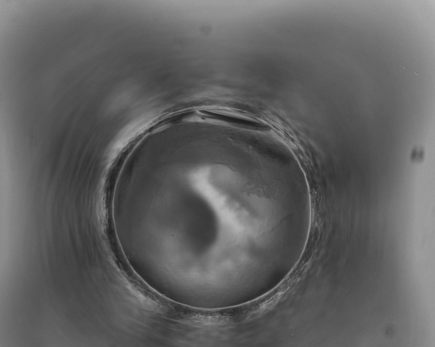 X0000094370245200711091544