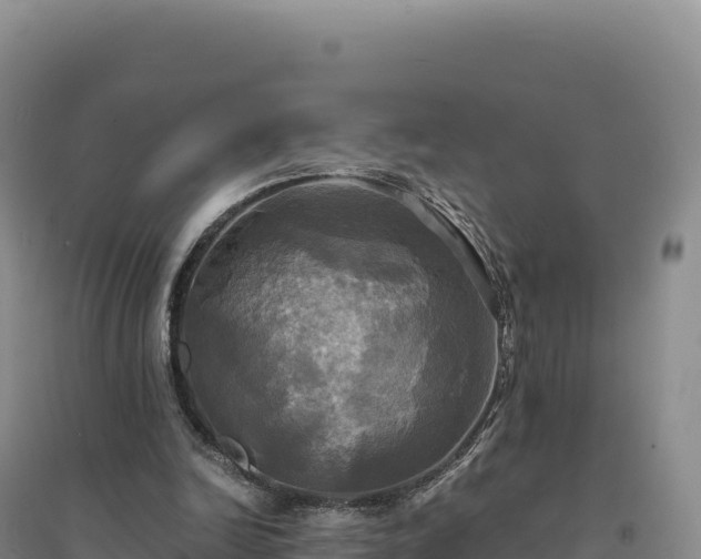X0000094370246200711091544