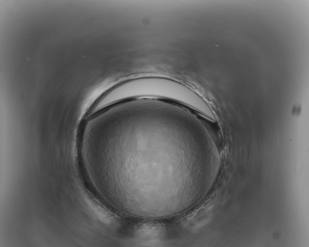 X0000094370248200711091544