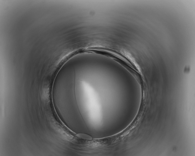 X0000094370249200711091544