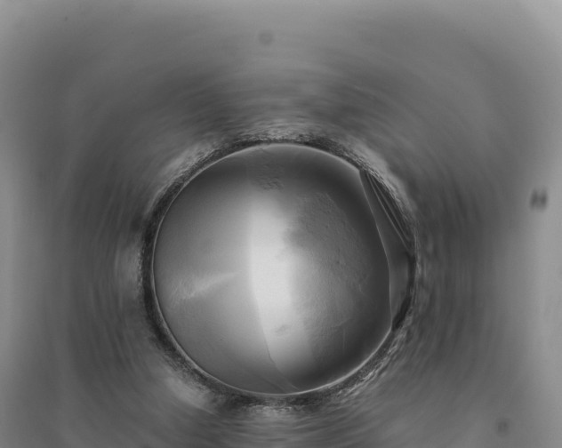 X0000094370250200711091544