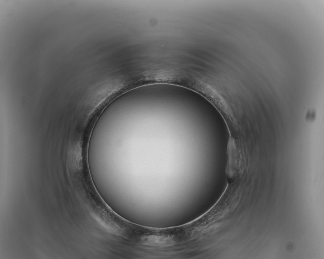 X0000094370251200711091544