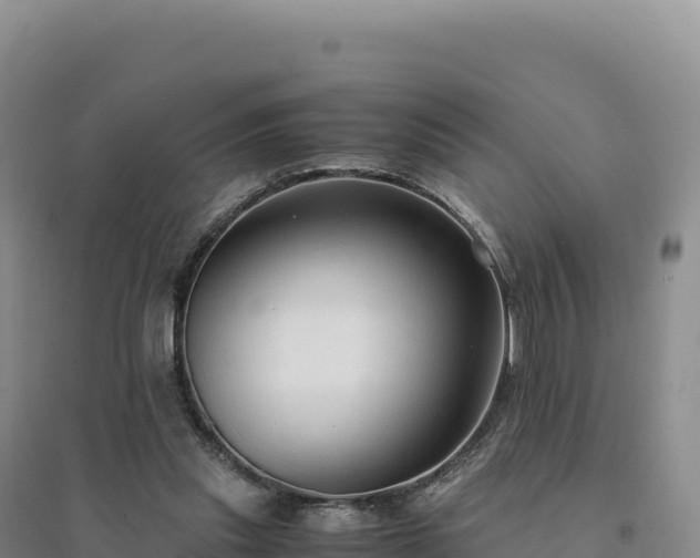 X0000094370253200711091544