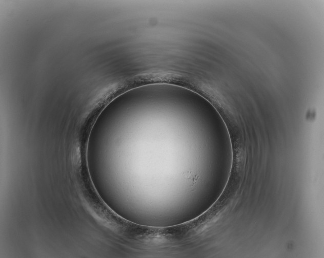 X0000094370254200711091544