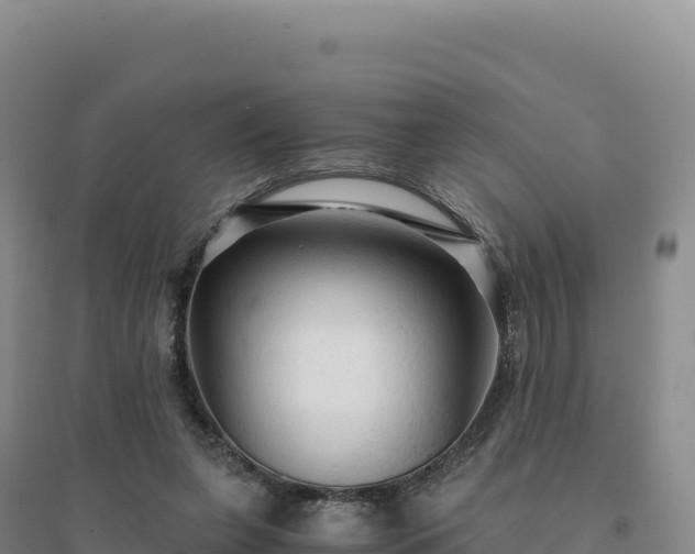 X0000094370255200711091544