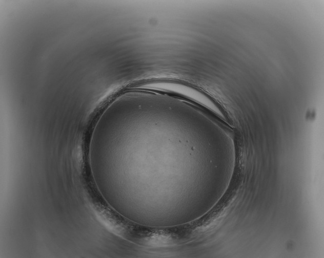 X0000094370256200711091544