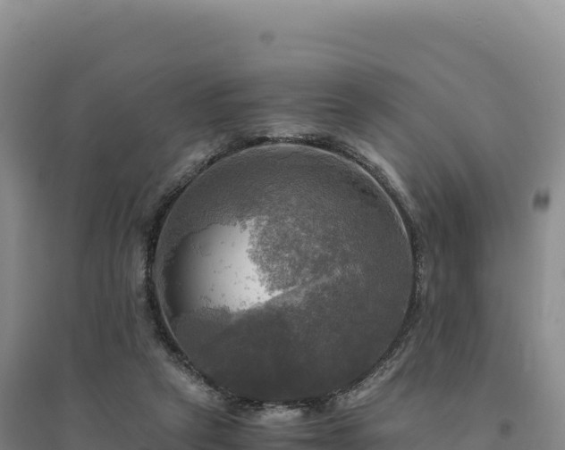 X0000094370257200711091544