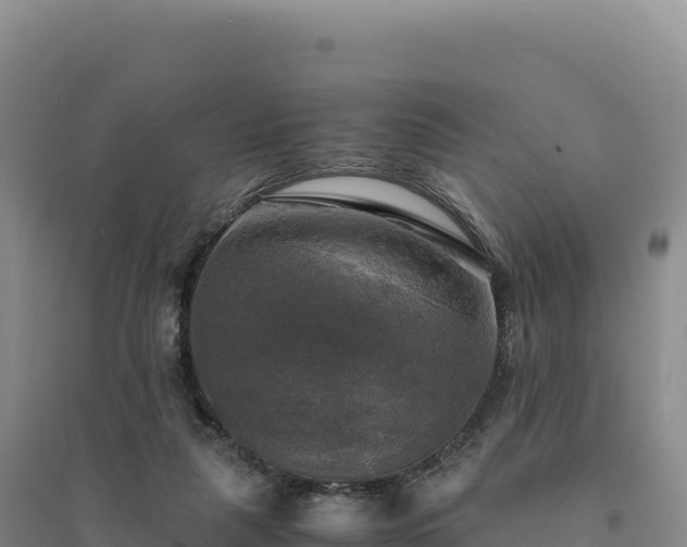 X0000094370259200711091544