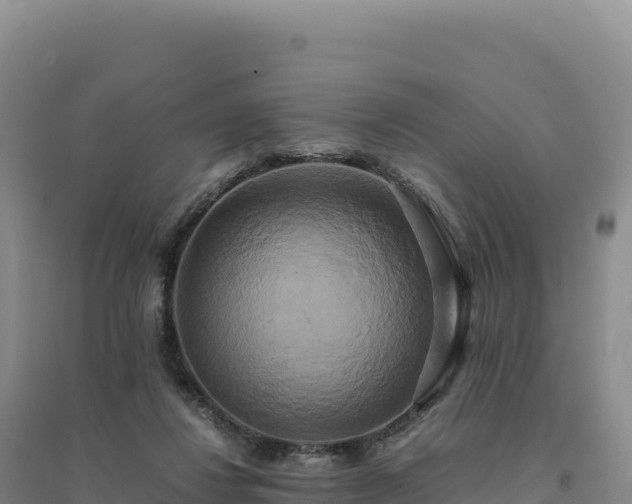 X0000094370260200711091544