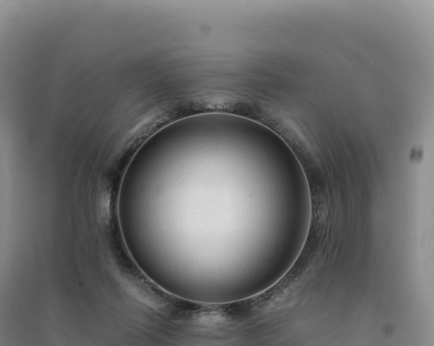 X0000094370262200711091545