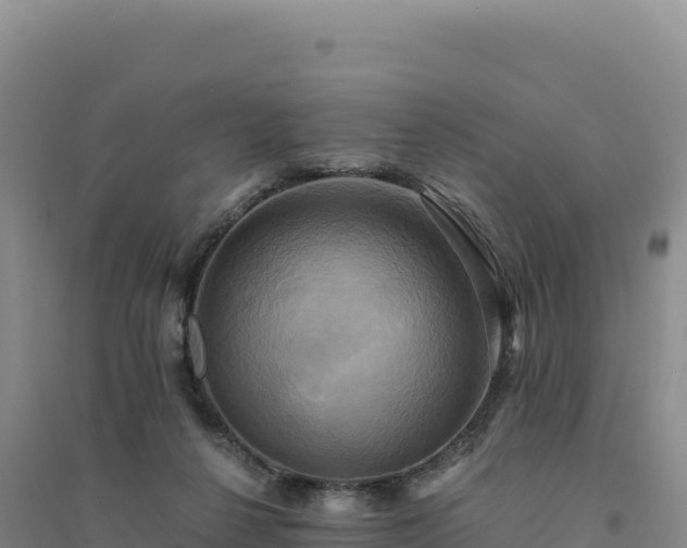X0000094370264200711091545