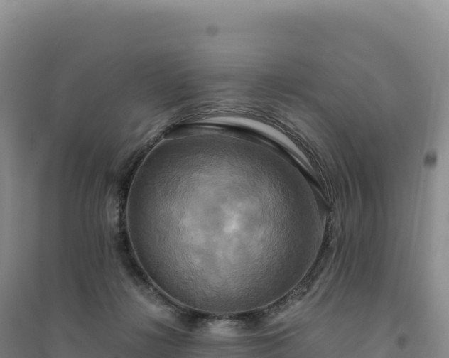 X0000094370268200711091545