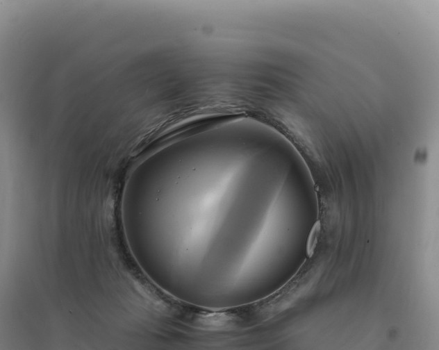 X0000094370269200711091545