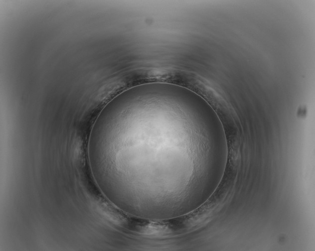 X0000094370270200711091545