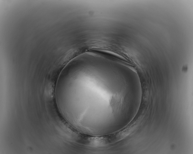 X0000094370273200711091545