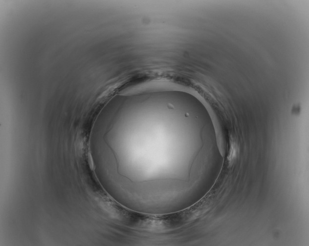 X0000094370276200711091545