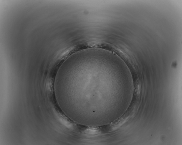 X0000094370280200711091545
