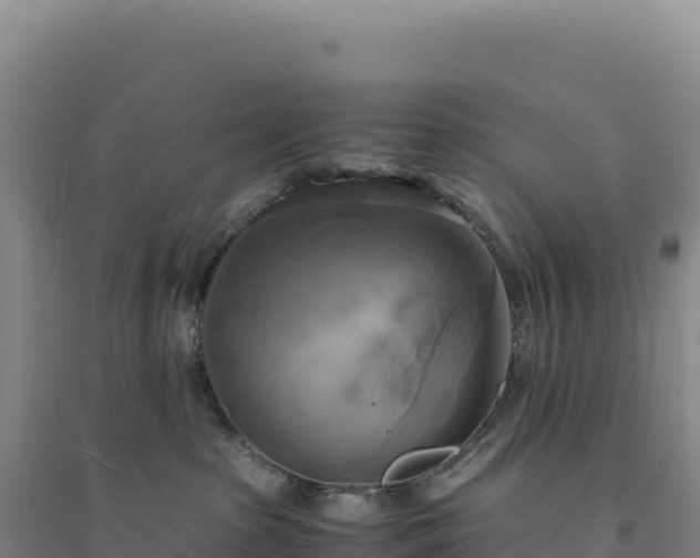 X0000094370285200711091545