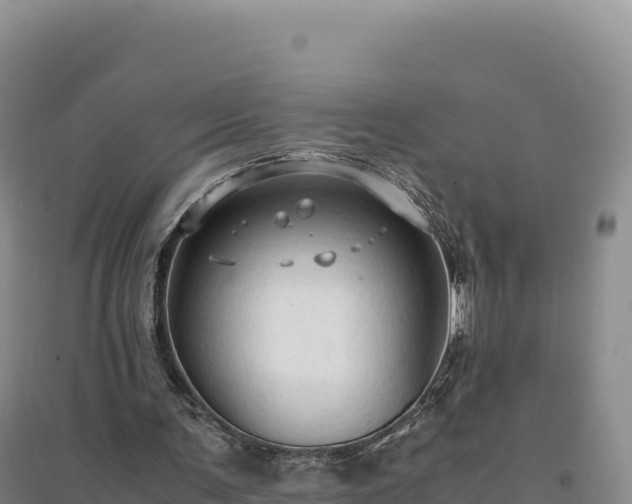 X0000094370291200711091544