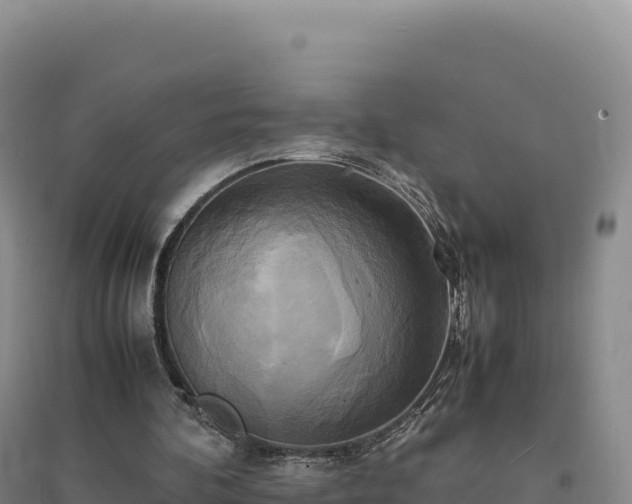 X0000094370292200711091544