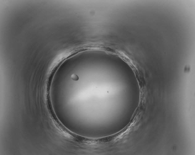 X0000094370293200711091544