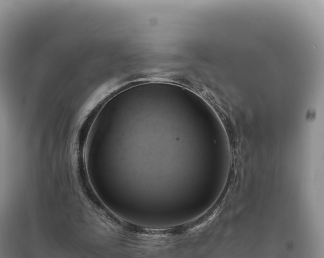 X0000094370295200711091544