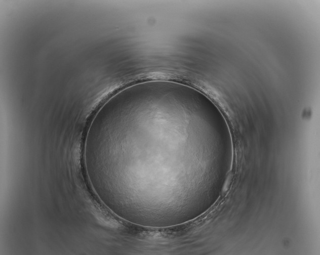 X0000094370297200711091544