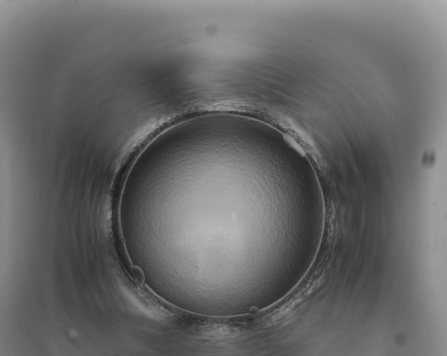 X0000094370298200711091544