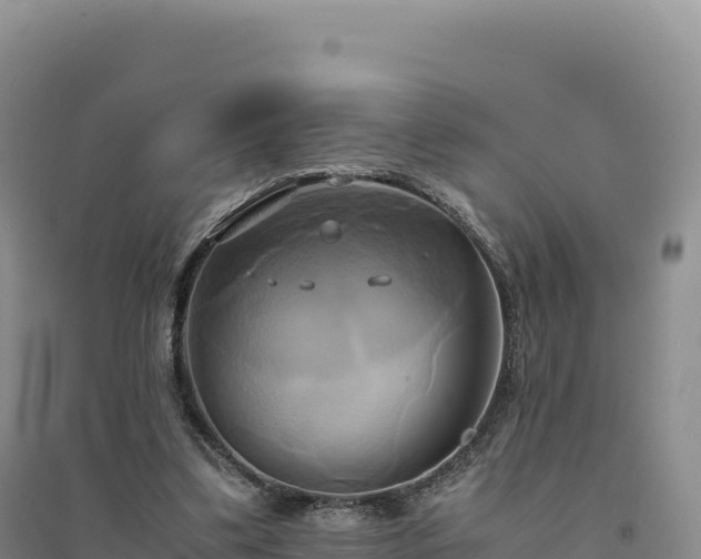 X0000094370299200711091544