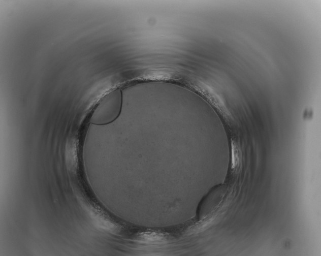 X0000094370300200711091544