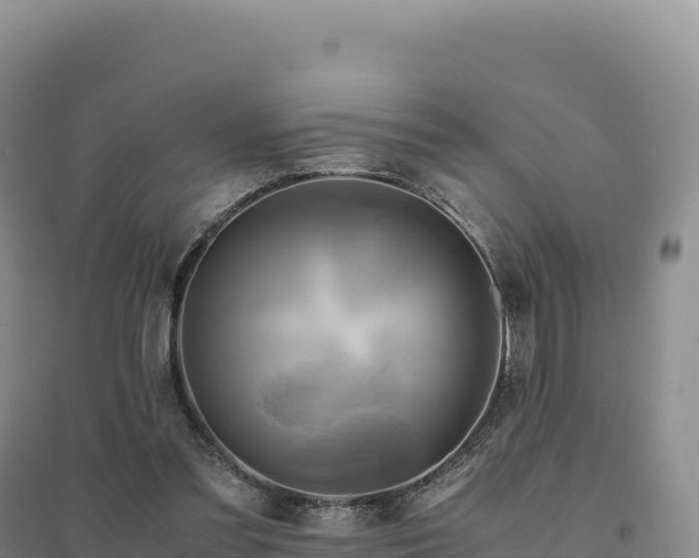 X0000094370301200711091544