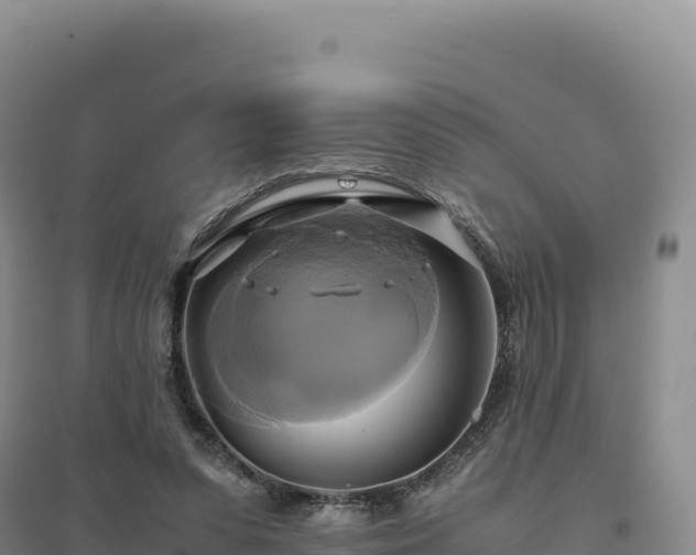 X0000094370303200711091544
