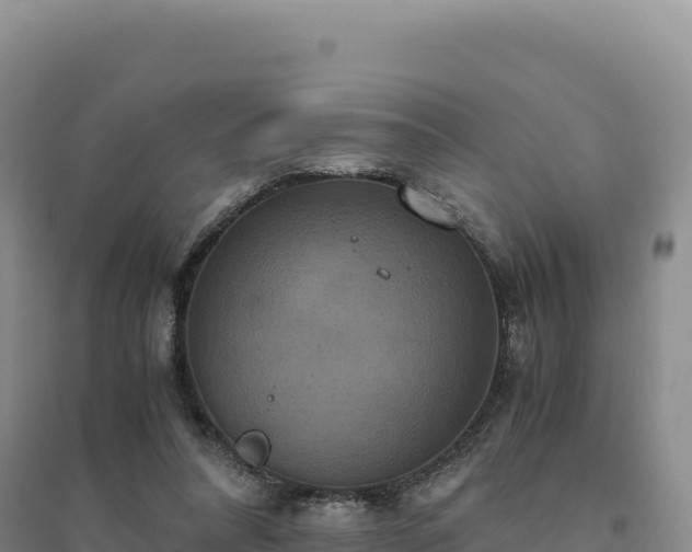 X0000094370304200711091544