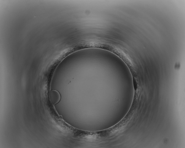 X0000094370306200711091544