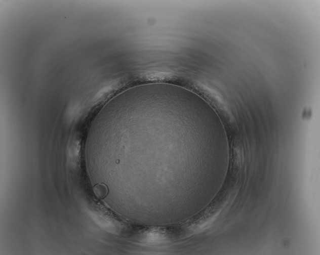 X0000094370308200711091544