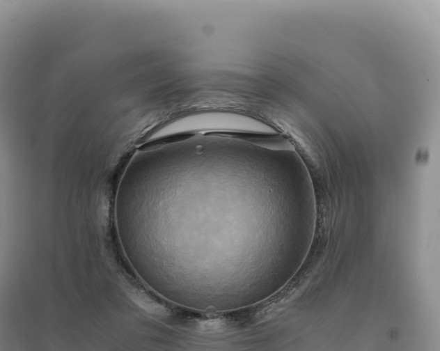 X0000094370309200711091544