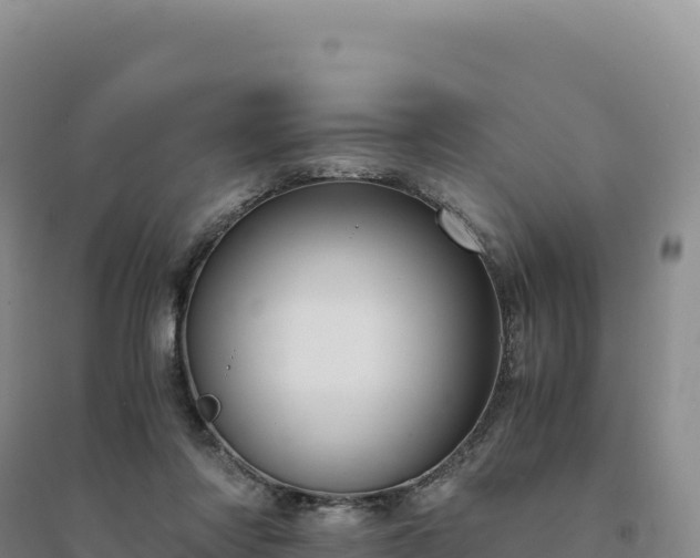 X0000094370310200711091544