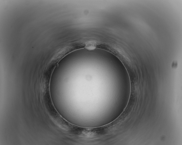 X0000094370311200711091544