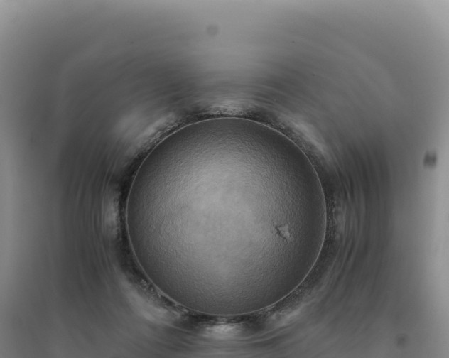 X0000094370312200711091544